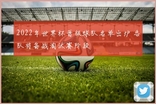 2022年世界杯晋级球队名单出炉 各队将备战淘汰赛阶段